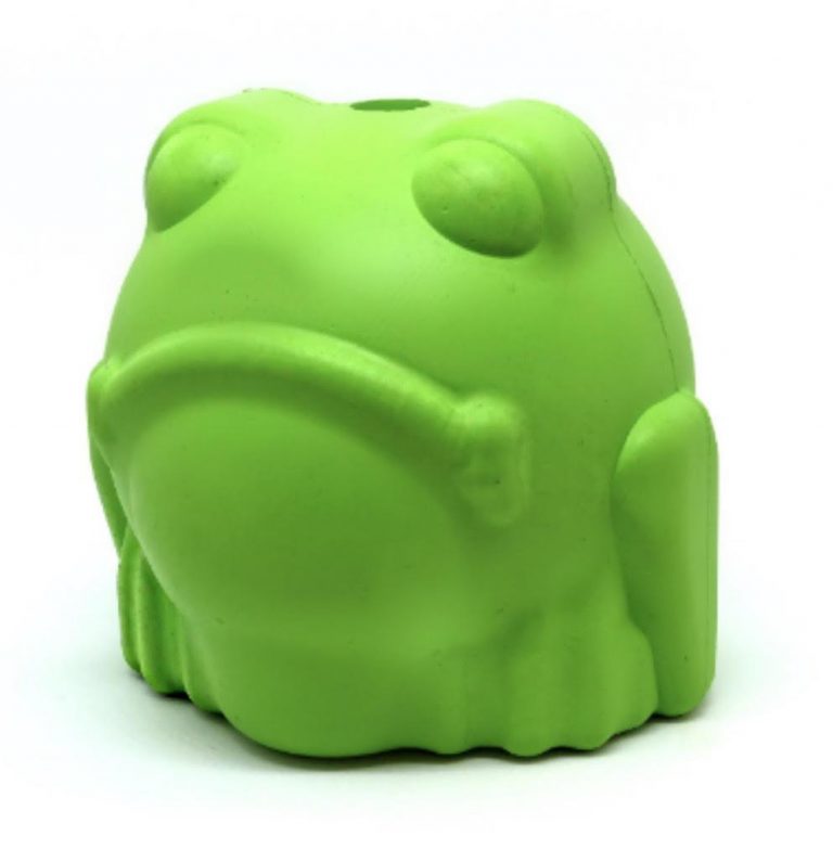 Sodapup Grenouille – Image 2