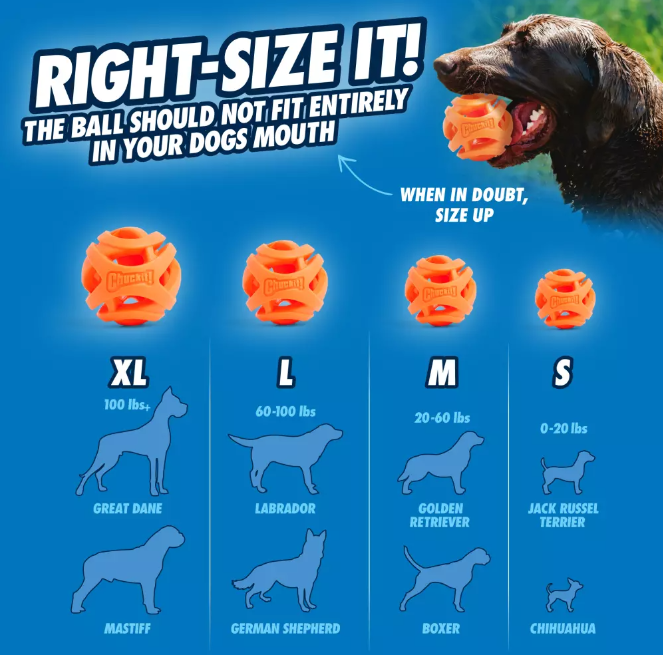 Chuckit balle ouverte – Image 5