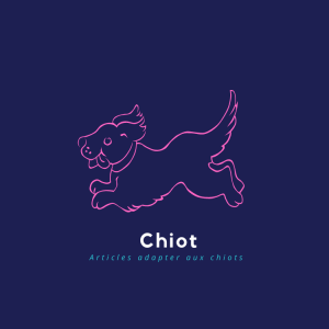 Chiot