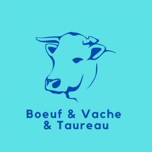 Boeuf & Vache & Taureau