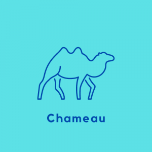 Chameau