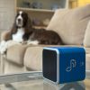 Pet Tunes Chien