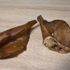 Oreille de Porc – Image 2
