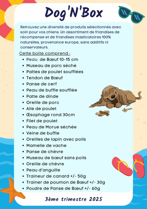 Dog'N'Box , la box trimestrielle – Image 2