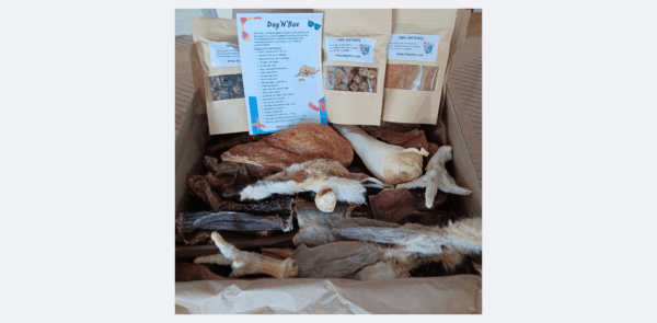 Dog'N'Box , la box trimestrielle – Image 3