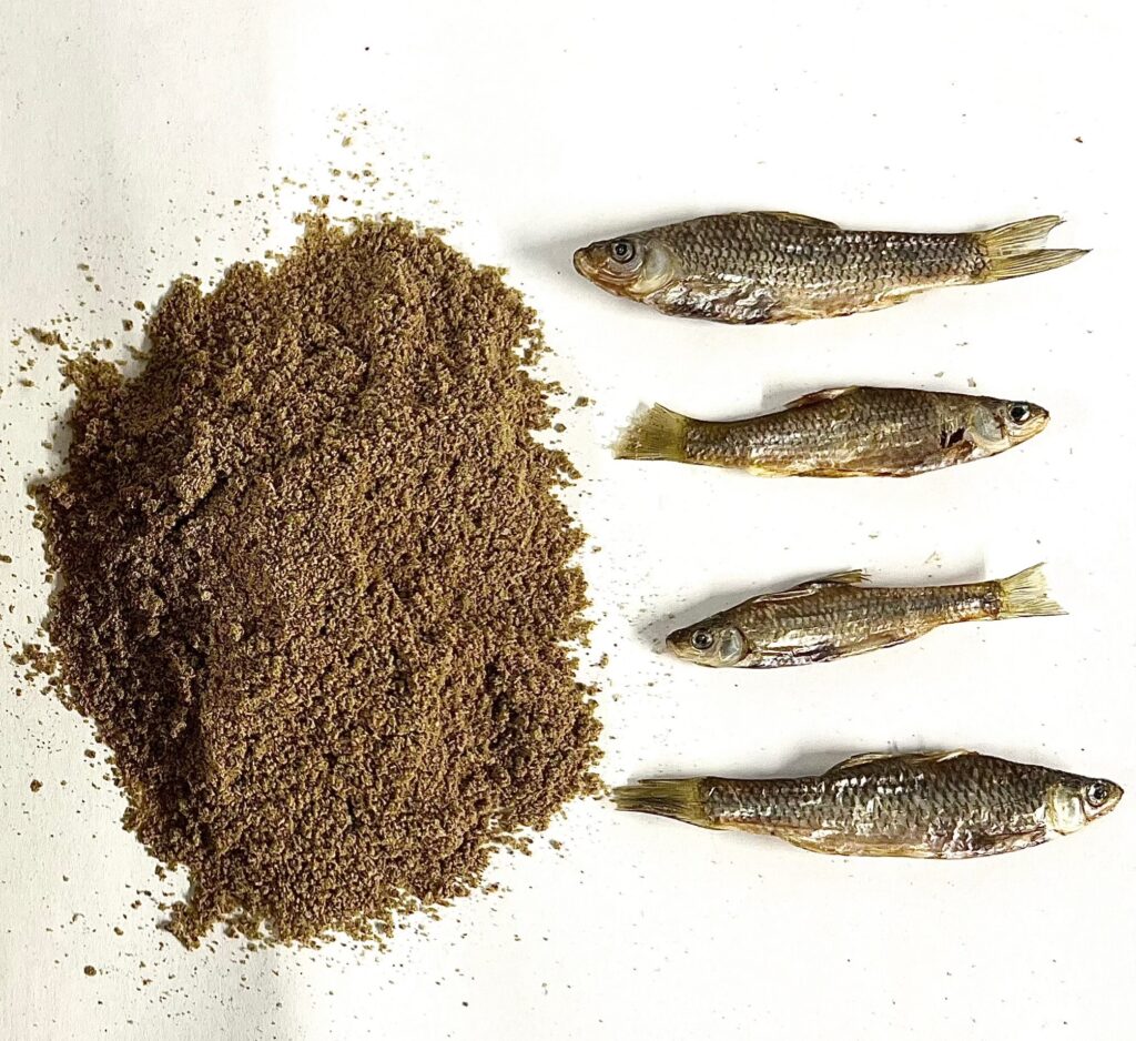 Poudre Attractant Pour Poissons DMPT – Appât écologique Pour Carpe – Neuf