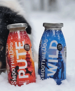 Smoothie Edition Hiver 2025