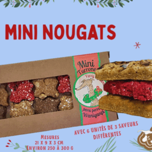 Coffret Nougat de Noël pour chien