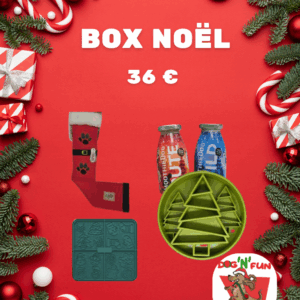 Box Noël Chien
