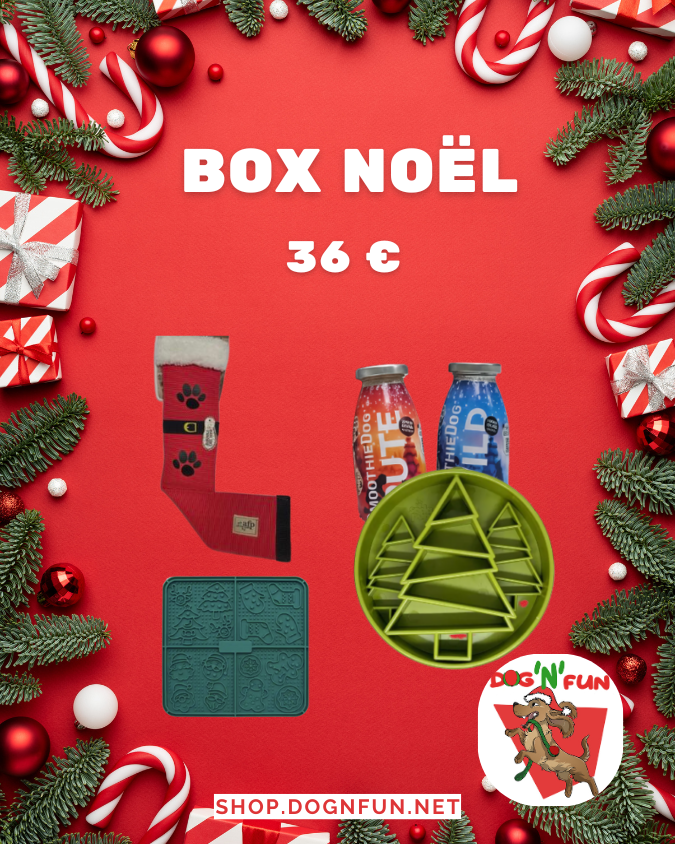 Box Noël Chien