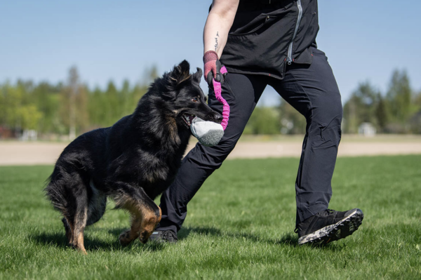 BungeeChewie ball - Balle Chewie  avec amortisseur – Image 4