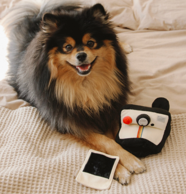 Appareil photo instantanée -lambwolf – Image 2