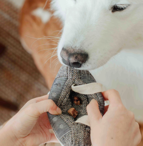 CASSETTE // Jouet enrichissement pour chien – Image 3