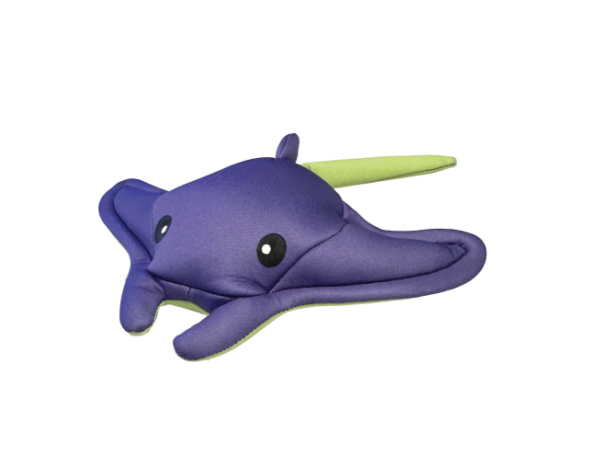Raie Freeze 'n Float – Image 2