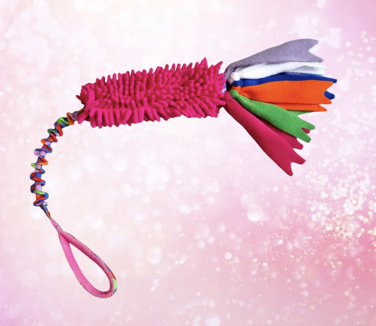 Squizzy - Agilitoy – Image 4