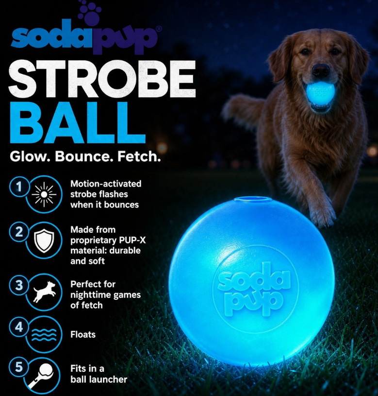 Balle lumineuse Pup-X – Image 4