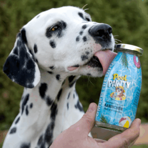 Smoothie Eté 2026 - Poolpawty