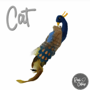 Jouet pour chat Paon