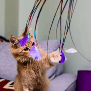Baguette  à plumes arc-en-ciel pour chat