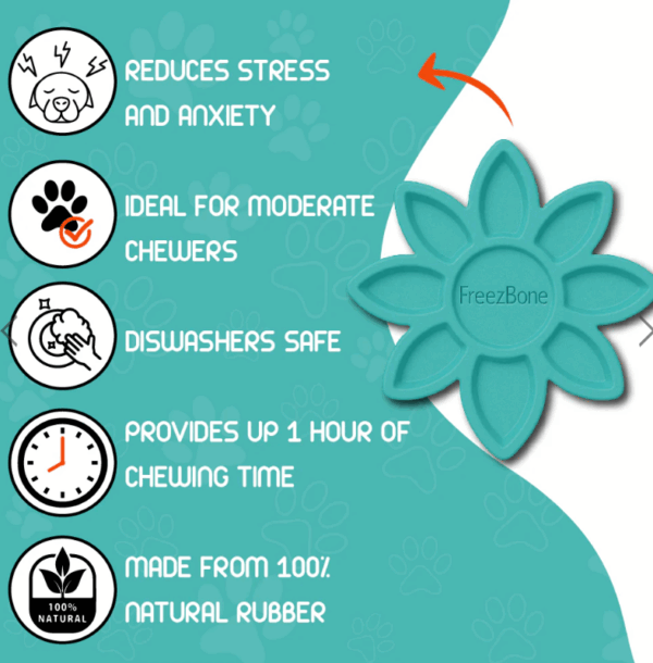 FreezSunFlower – Image 4