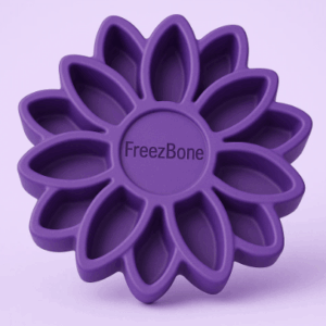 FreezSunFlower