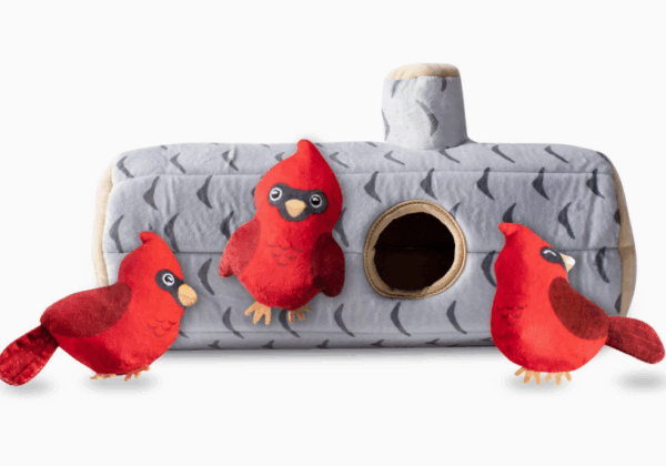 Burrow tronc d'arbre et oiseaux