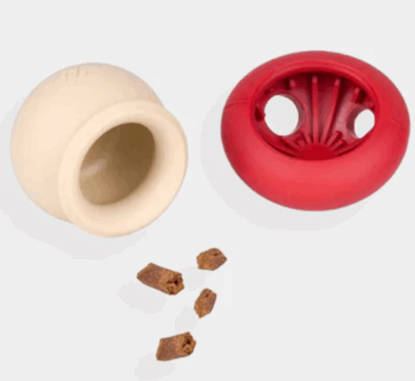 Champignon - distributeur – Image 4