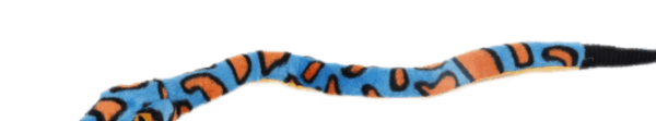 Python craquant – Image 2