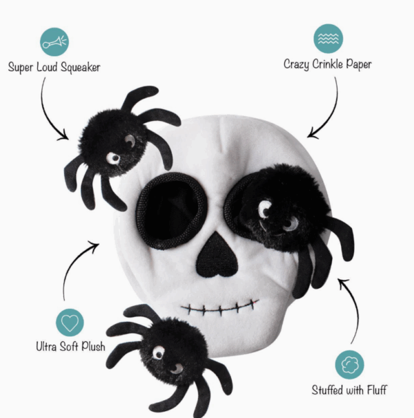 Burrow Crâne avec araignées – Image 2