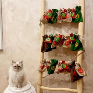Calendrier de l'avent Dog'N'Fun 2025 - Chat