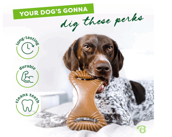 Dental Chew Benebone – Image 2