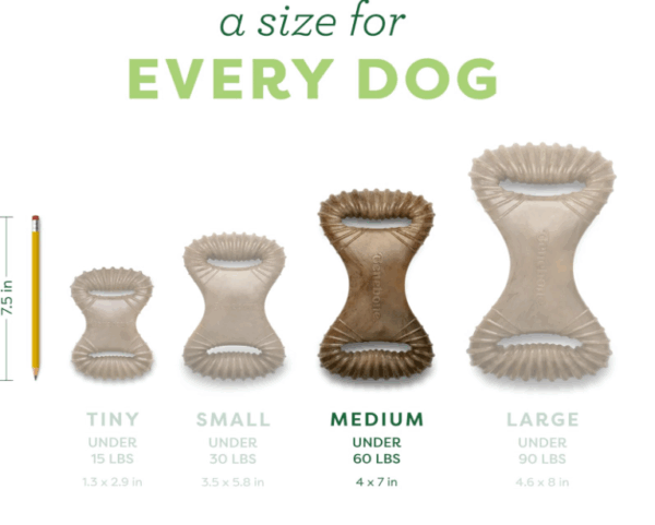 Dental Chew Benebone – Image 3