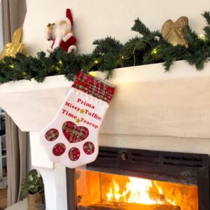 574930660_843409051409121_5060385178764748451_n