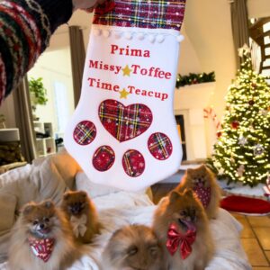 Chaussette Personnalisée - Chien