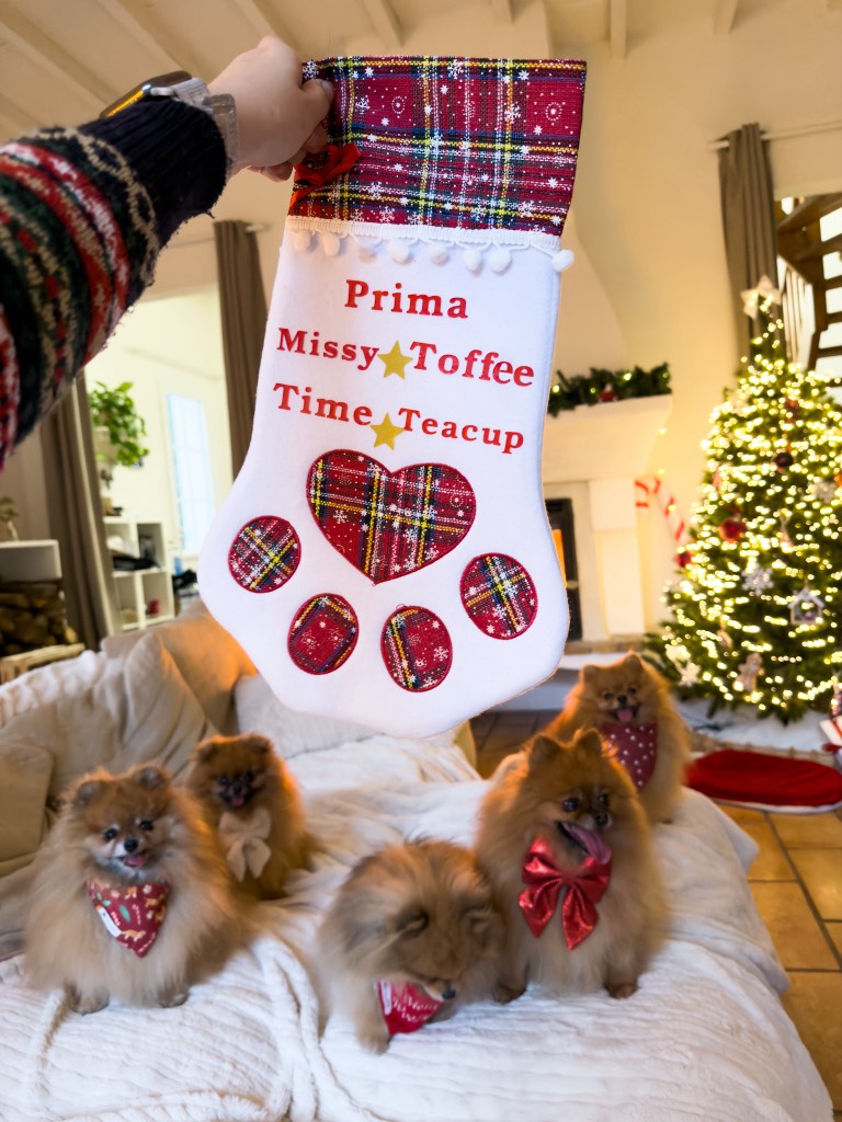 Chaussette Personnalisée - Chien