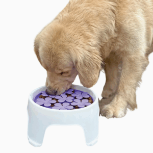 Capture d’écran 2025-11-03 195804