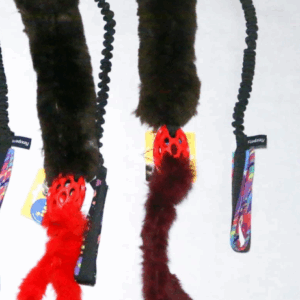 tug lapin et balle rugby et lapin- flexipets