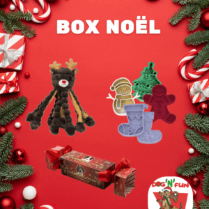 Box Noël Chien 2