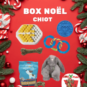 Box Noël Chiot