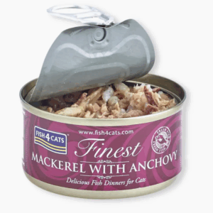 Capture d’écran 2025-12-02 181145