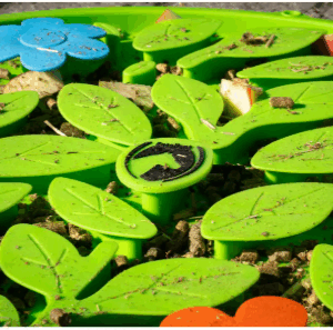 Capture d’écran 2026-02-10 190834