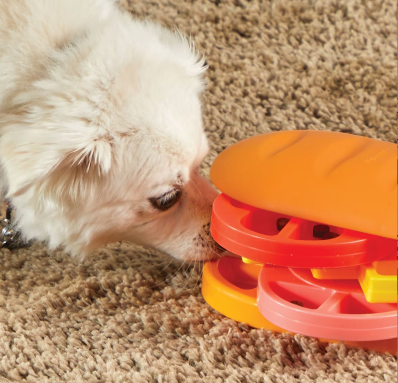 Surprise Pupstrami - Treat puzzle – Image 3