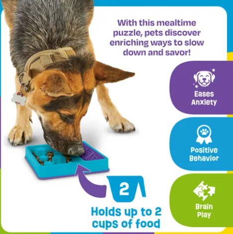 Gamelle 2 en 1 anti glouton et tapis de léchage – Image 3