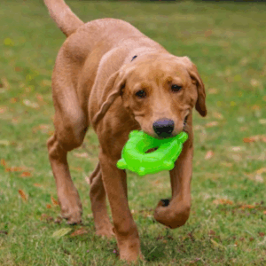 Capture d’écran 2026-03-18 165546