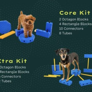 FitPaws FitKinect™