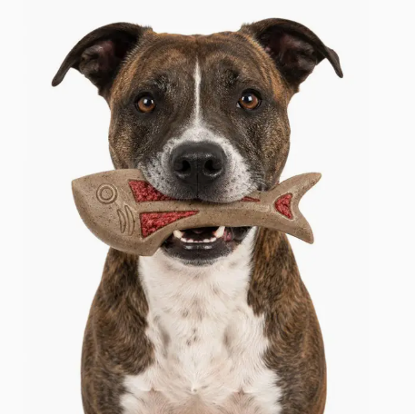 Dog fish -sodapup nylon – Image 2