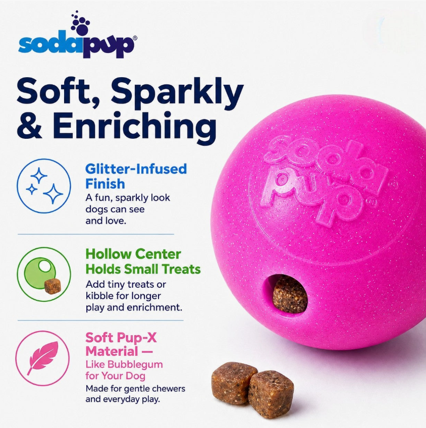 Pack princesse- lot de 2 jouets- sodapup – Image 3
