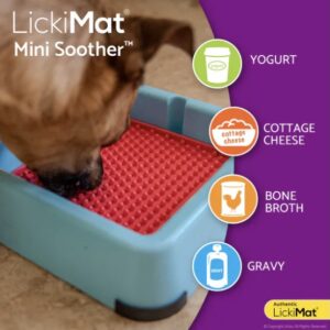 Pack lickimat mini