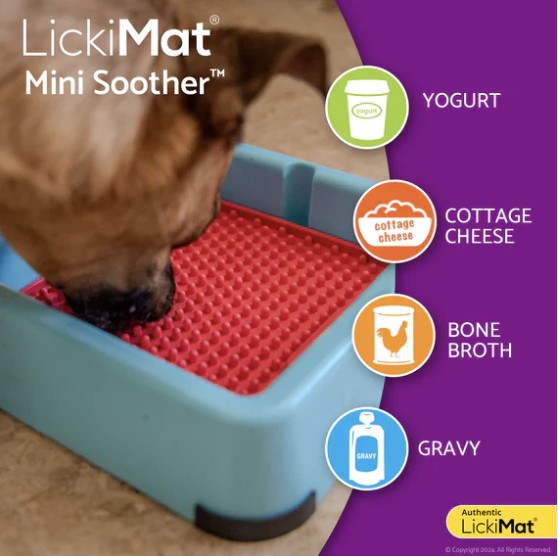 Pack lickimat mini