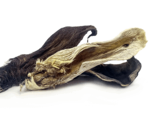 Oreilles de chèvre avec poils